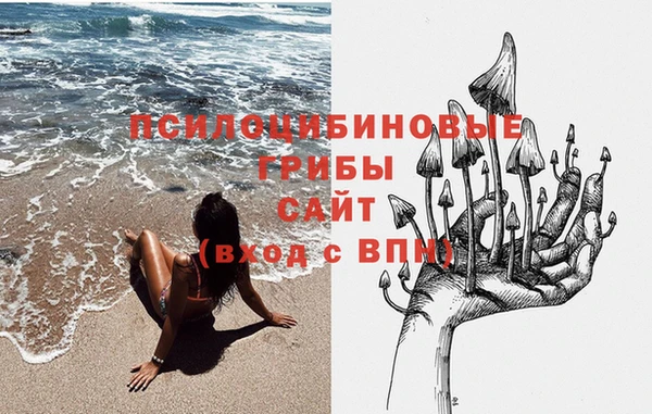 apvp Алексин