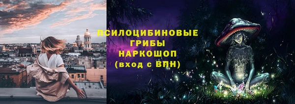 apvp Алексин