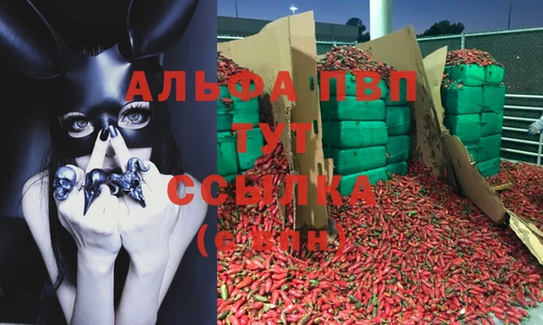 apvp Алексин