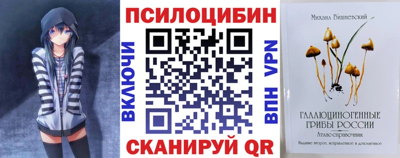 магазин продажи наркотиков  Западная Двина  Галлюциногенные грибы прущие грибы 
